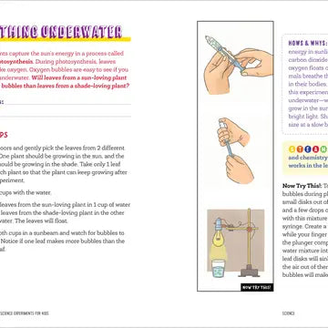 Awesome Outdoor Science Experiments For Kids