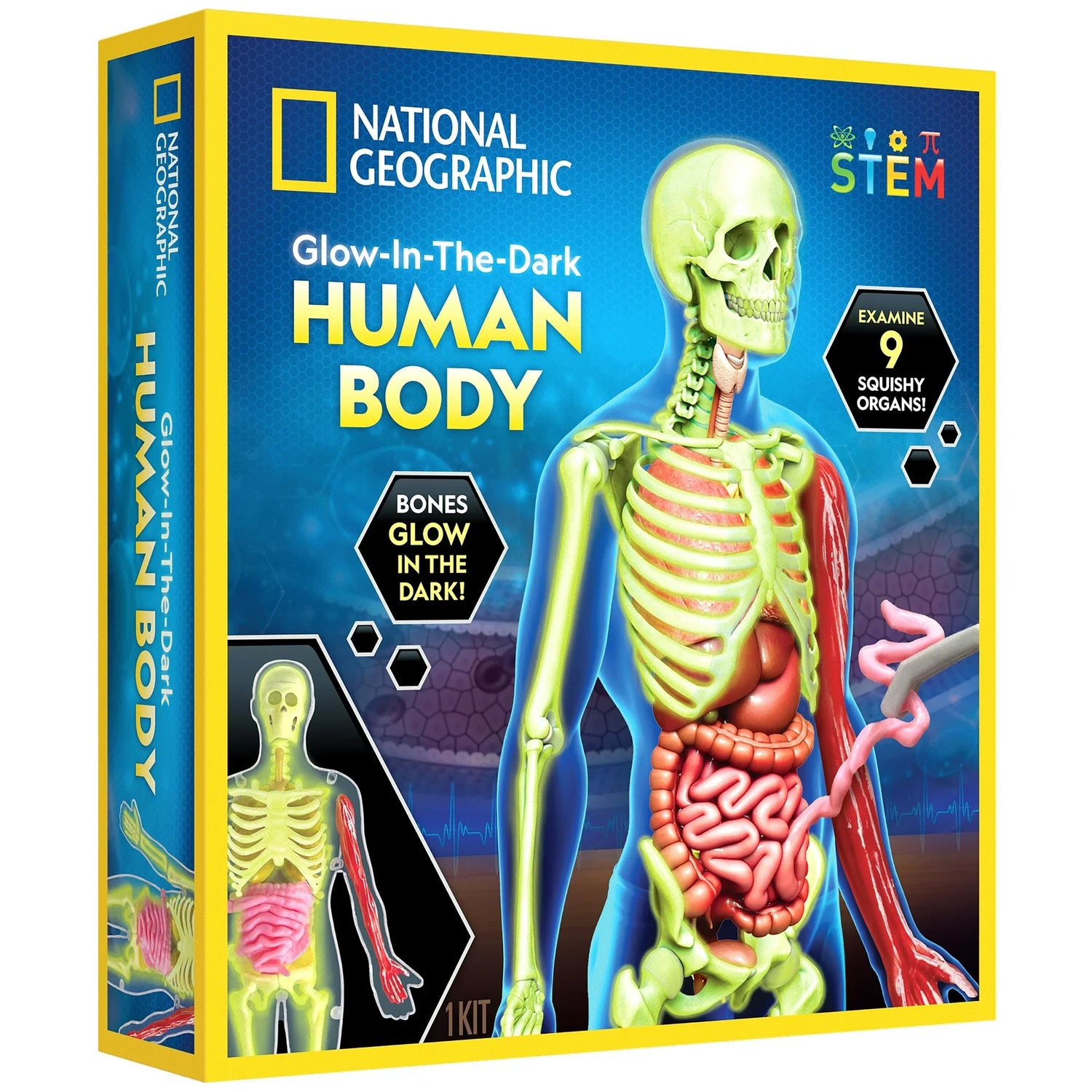 National Geographic STEM Kits