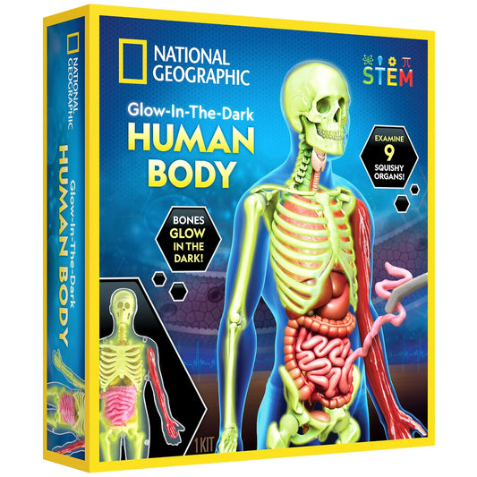 National Geographic Glow-in-the-Dark Human Body
