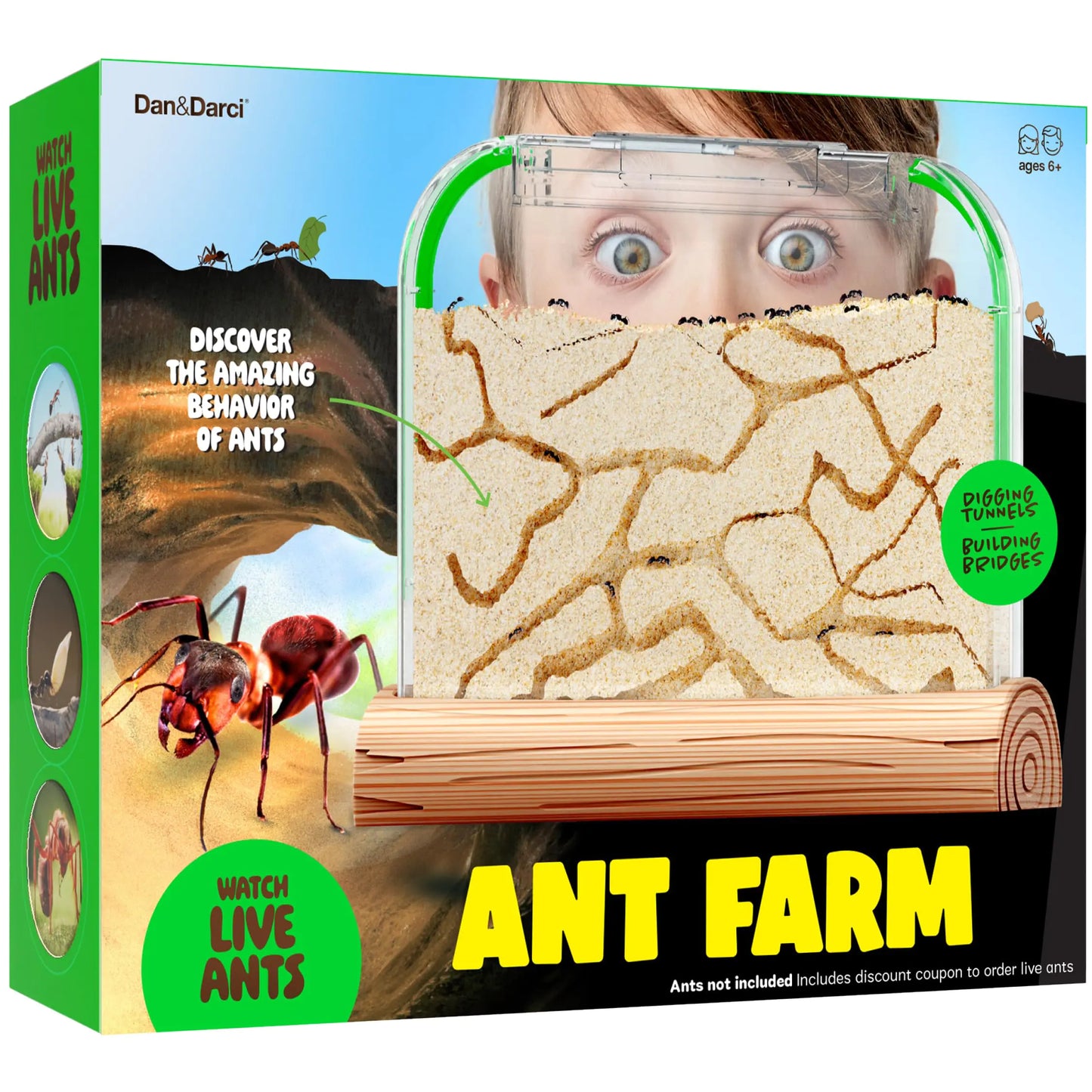 Ant Farm Kit for Kids - Ants Farms Colony - Sand Habitat Kits - Bug Terrarium House - Educational Science Gifts for Kids - Nature Learning Toys for Boys Girls & Adults (Sand)