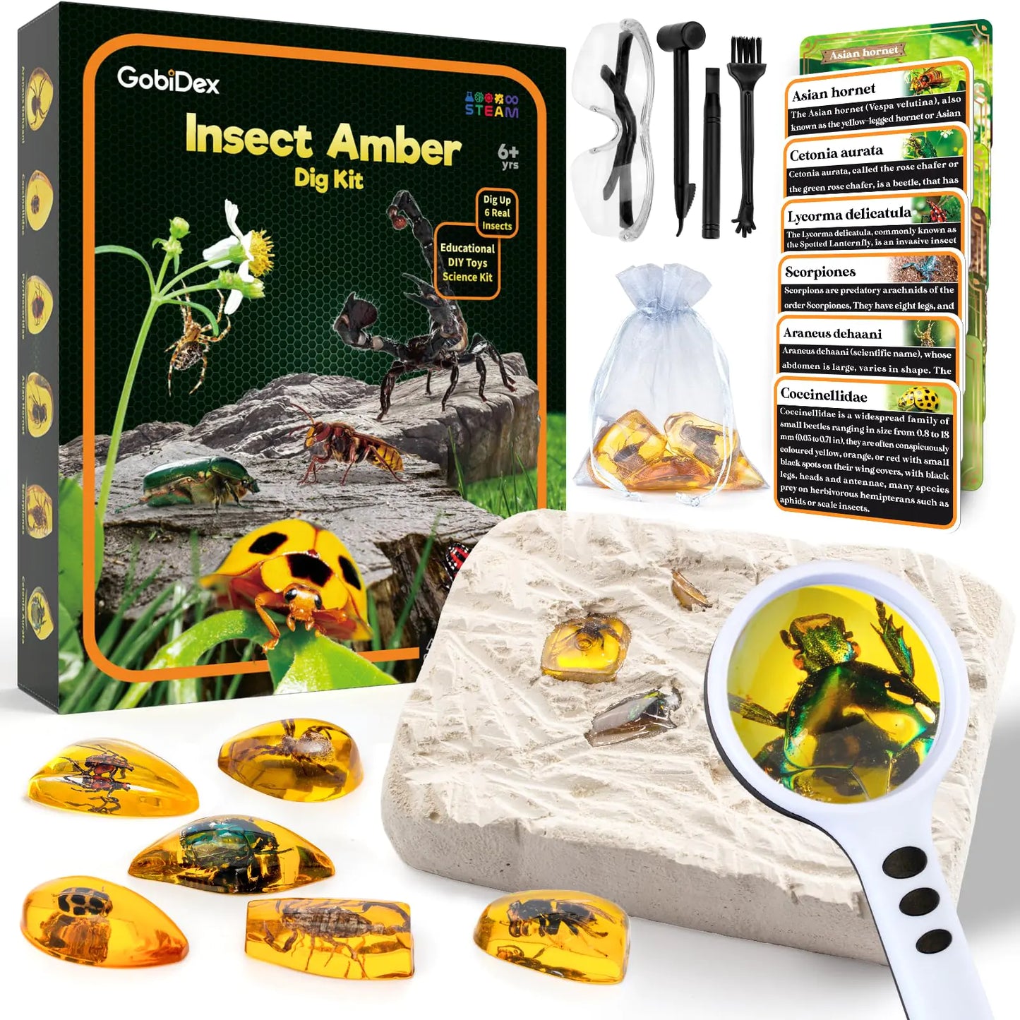GobiDex Amber Dig Kit-Artificial Insect Resin Excavate 6 Insects Specimens STEM Geographic Educational Bugs Toys Excavation Toys for Fun Bugs Party Favors Science Kits for Kids Age 6-8 8-12