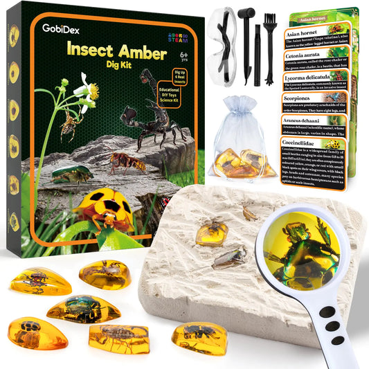 GobiDex Amber Dig Kit-Artificial Insect Resin Excavate 6 Insects Specimens STEM Geographic Educational Bugs Toys Excavation Toys for Fun Bugs Party Favors Science Kits for Kids Age 6-8 8-12